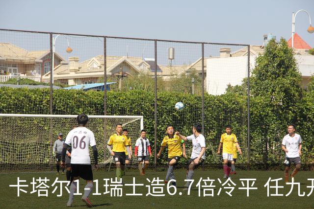 卡塔尔1-1瑞士造6.7倍冷平 任九开53注25.3万元